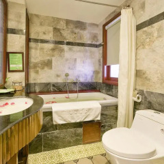 Отель Green Heaven Hoi An Resort and Spa 4* Номер Делюкс с различными типами кроватей фото 6
