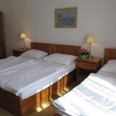 Hotel Jana / Pension Domov Mladeze Стандартный номер с различными типами кроватей (общая ванная комната) фото 4