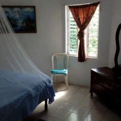 IRIE Vibez hostel Порт Антонио комната для гостей фото 5