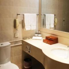 Отель Majesty Plaza Shanghai 4* Номер Делюкс с различными типами кроватей фото 4