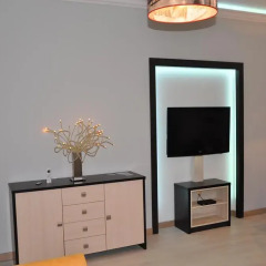 Отель Amber Apartments Польша, Гданьск - отзывы, цены и фото номеров - забронировать отель Amber Apartments онлайн удобства в номере фото 2