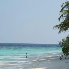 Отель Grace Beach Inn Мале пляж