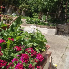 Отель B&B Casale Rio Conca Сперлонга фото 5