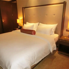 Baiyun Hotel Guangzhou комната для гостей фото 4