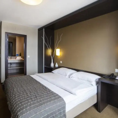 Hotel Expo Astoria 3* Стандартный номер с двуспальной кроватью
