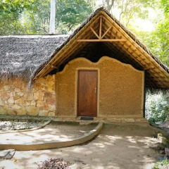 Отель Ella Jungle Resort 3* Стандартный номер с различными типами кроватей фото 2