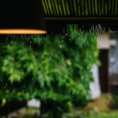 Отель Mingtang Garden Cottage 名堂花园度假屋 Непал, Покхара - отзывы, цены и фото номеров - забронировать отель Mingtang Garden Cottage 名堂花园度假屋 онлайн фото 7