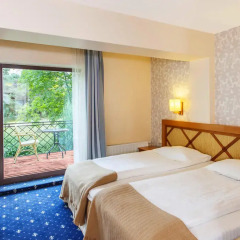 Отель Park Villa 4* Номер Делюкс с различными типами кроватей