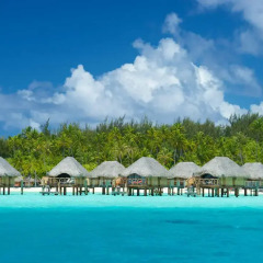 Отель Bora Bora Pearl Beach Resort and Spa 4* Стандартный номер с различными типами кроватей