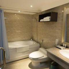 Roseland Centa Hotel & Spa 3* Номер категории Премиум с различными типами кроватей фото 2
