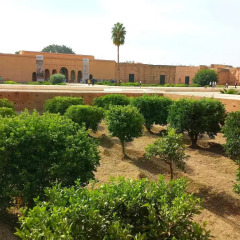 Отель Riad Bel Haj Марокко, Марракеш - отзывы, цены и фото номеров - забронировать отель Riad Bel Haj онлайн фото 3