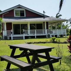 Отель Cottage HANA MANA Япония, Якусима - отзывы, цены и фото номеров - забронировать отель Cottage HANA MANA онлайн фото 16