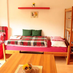 Отель Guest House Accueil chez BH Чехия, Прага - отзывы, цены и фото номеров - забронировать отель Guest House Accueil chez BH онлайн комната для гостей фото 3