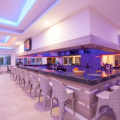 Catty Cats Garden Hotel гостиничный бар