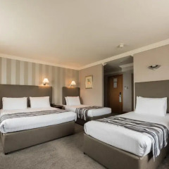 Springfield Hotel 3* Стандартный номер с разными типами кроватей фото 2