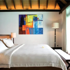 Отель Coco Bodu Hithi 5* Вилла разные типы кроватей фото 15