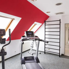 DORMERO Hotel Dresden Airport фитнесс-зал фото 2