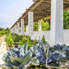 Отель Vila Monte Farm House Португалия, Монкарапашу - отзывы, цены и фото номеров - забронировать отель Vila Monte Farm House онлайн фото 7