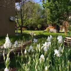 Отель Zora Camping - Bungalows Болгария, Аврен - отзывы, цены и фото номеров - забронировать отель Zora Camping - Bungalows онлайн приотельная территория