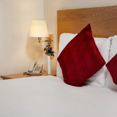 Best Western London Ilford Hotel 4* Стандартный номер с двуспальной кроватью фото 2