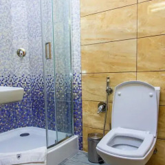 Гостиница Dniprovskiy Dvir 4* Люкс разные типы кроватей фото 2