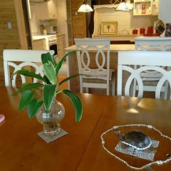 Отель Cottage HANA MANA Япония, Якусима - отзывы, цены и фото номеров - забронировать отель Cottage HANA MANA онлайн интерьер отеля фото 3