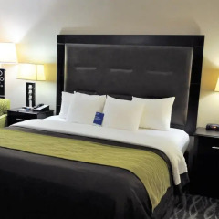 Отель Comfort Inn Downtown Charleston 2* Стандартный номер с различными типами кроватей фото 3