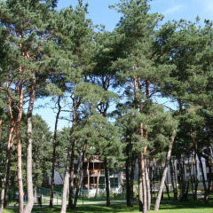 Апартаменты Seaside Mansion - Apartment Nadmorski Dwór