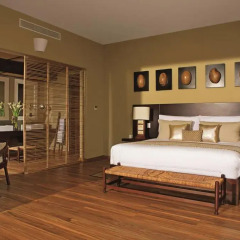 Отель Zoetry Agua Punta Cana All Inclusive 5* Полулюкс с различными типами кроватей фото 5