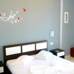 Hotel Summer Dream 3* Стандартный номер с двуспальной кроватью фото 5