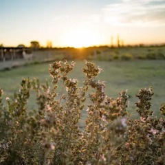 Отель Finca La Carmelita Сан-Рафаэль приотельная территория