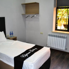 Elysium Gallery Hotel 3* Номер Комфорт с 2 отдельными кроватями фото 3