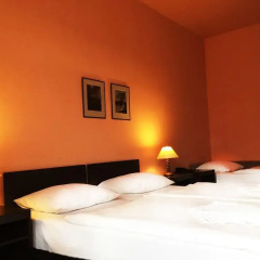 Hotel Branik 3* Стандартный номер с различными типами кроватей