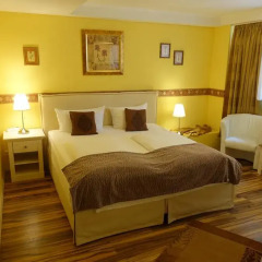 Hotel Villa Konstanz 3* Стандартный номер фото 5