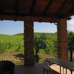 Отель Bed and Breakfast Cascina Beccaris Костиглиоле-д'Асти фото 6