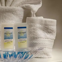 Отель Best Western Plus Manatee 2* Стандартный номер с различными типами кроватей
