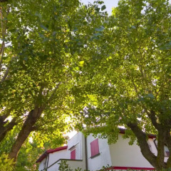 Отель Villaggio Riva Musone Порто Реканати фото 2