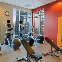 Отель Hilton Suites Chicago/Magnificent Mile фитнесс-зал фото 3