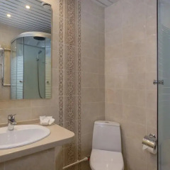 Гостиница Аветпарк 3* Стандартный номер с различными типами кроватей фото 13