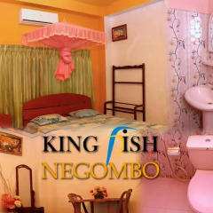 Отель King Fish Guest House детские мероприятия фото 2