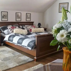 Отель Green Apartment Чехия, Франтишкови-Лазне - отзывы, цены и фото номеров - забронировать отель Green Apartment онлайн комната для гостей фото 2