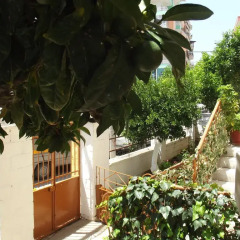 Отель Dolphin Hostel Албания, Саранда - отзывы, цены и фото номеров - забронировать отель Dolphin Hostel онлайн фото 2