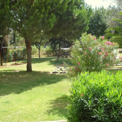 Отель Parque das Amendoeiras Португалия, Виламура - отзывы, цены и фото номеров - забронировать отель Parque das Amendoeiras онлайн фото 4