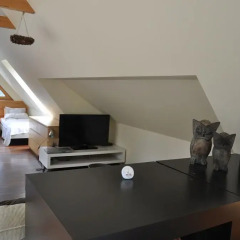 Отель Willa Marma B&B 3* Апартаменты с различными типами кроватей фото 23