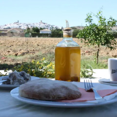 Отель Hostal Rural la Plata спа