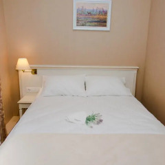 Pletnevskiy Inn Hotel 3* Стандартный номер фото 6