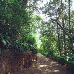 Отель Villa Republic Bandarawela 3* Вилла с различными типами кроватей фото 20