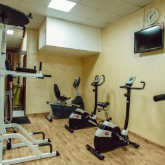 Отель Sharjah Carlton Hotel ОАЭ, Шарджа - 4 отзыва об отеле, цены и фото номеров - забронировать отель Sharjah Carlton Hotel онлайн фитнесс-зал