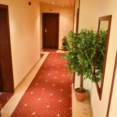 Club Hotel Martin интерьер отеля фото 3