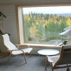 Tree Hotel 5* Стандартный номер с различными типами кроватей фото 20